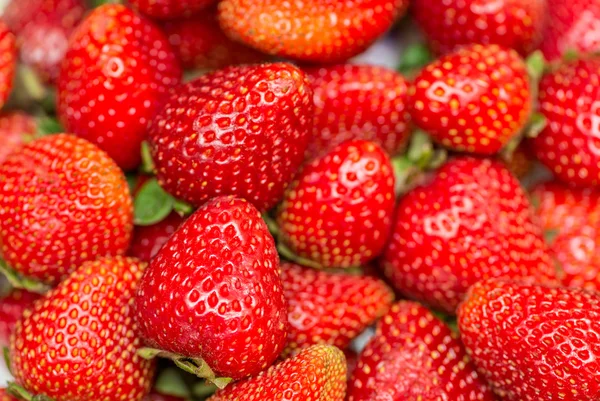 Fresas dispuestas en la pantalla —  Fotos de Stock