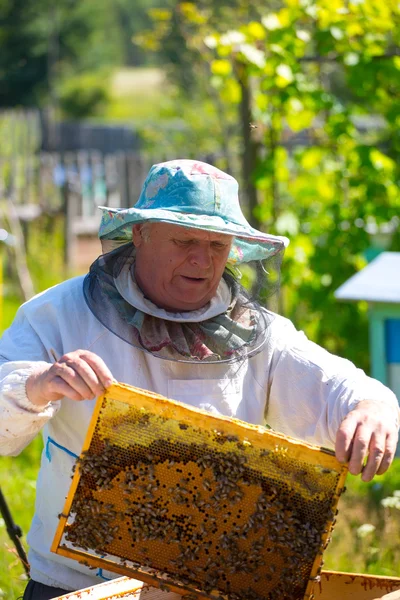 beekeeper holding bees and honeycomb