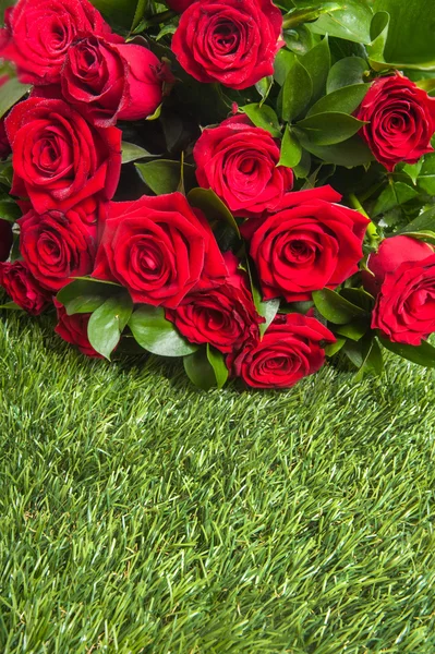 Bouquet di rose rosse fiorite — Foto Stock