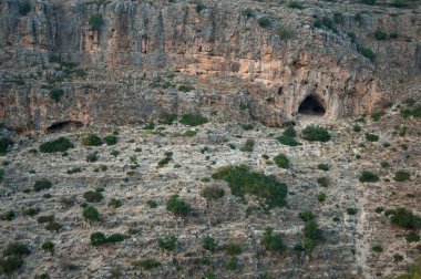 Adamite Park 'tan Batı Celile' nin yamaçlı manzarasına.