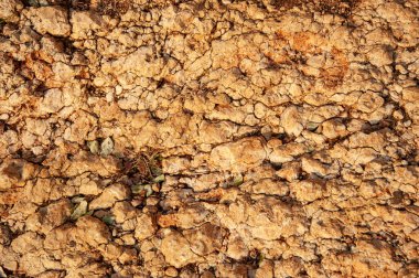 Eski taş desenli arkaplan.