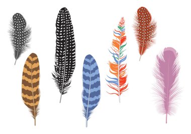 Renkli modern tüyler seti.