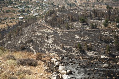 Kudüs, İsrail - 9 Haziran 2021: Kudüs yakınlarında yanan ormanlar.