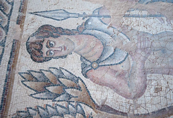 Zippori Ulusal Parkı Nda Antik Mozaik Celile Srail — Stok fotoğraf