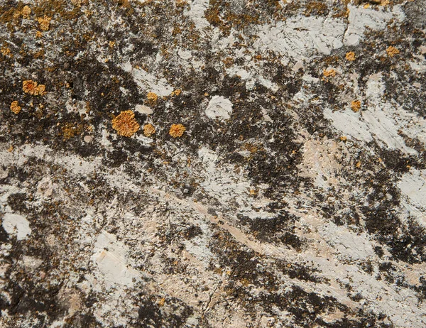Background Ancient Stone Texture — Stock Photo, Image