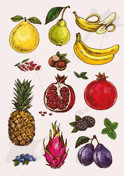 Mão desenho de frutas — Vetor de Stock