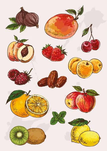 Mão desenho de frutas — Vetor de Stock