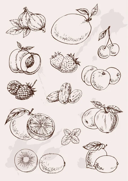 Dessin à la main fruits — Image vectorielle