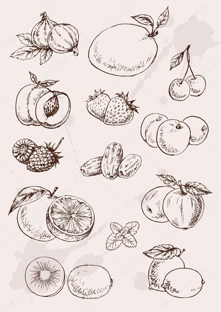 Hand drawing fruits
