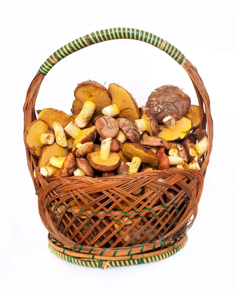 Fresh mushrooms in basket — Stock Photo, Image