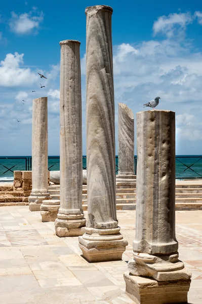 Remains of ancient Corinthian columns — Stock Photo, Image