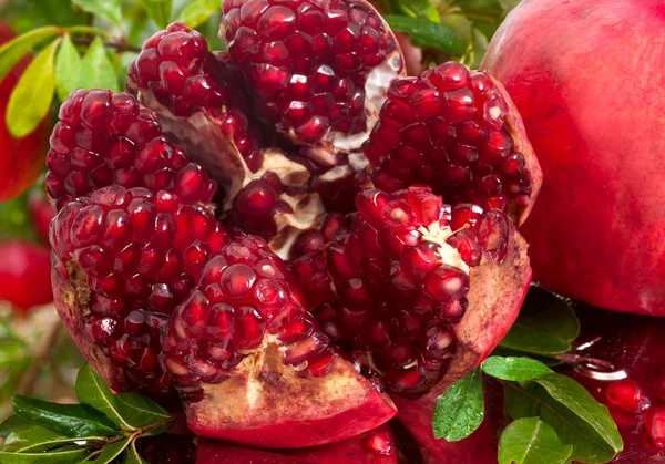 Ripe pomegranate fruit — Stock Photo, Image