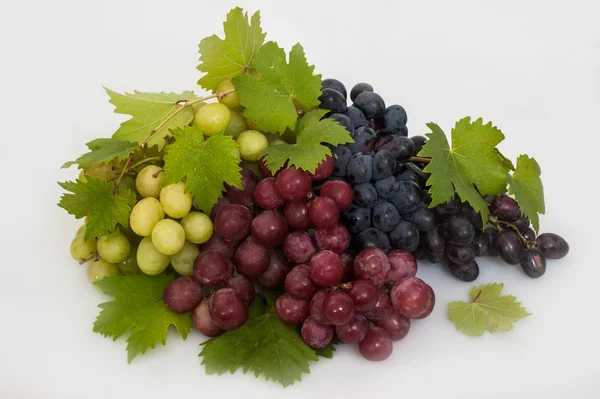 Fresh ripe grapes — Stock Photo, Image