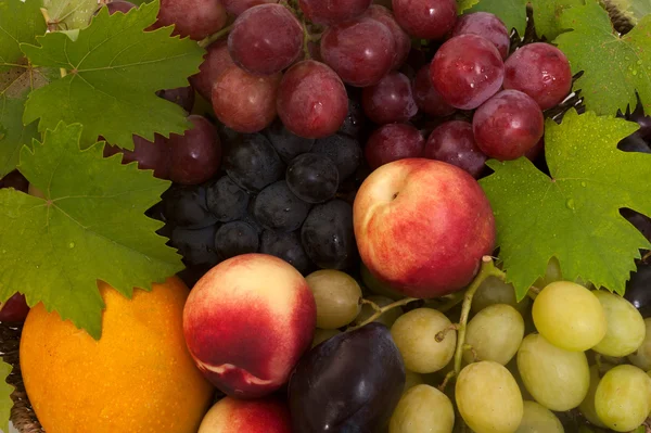 Fruits d'été frais et mûrs — Photo