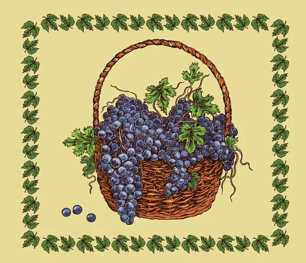 Корзина с спелым виноградом — стоковый вектор