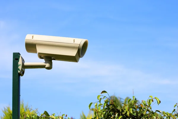 Videobewaking in de tuin — Stockfoto
