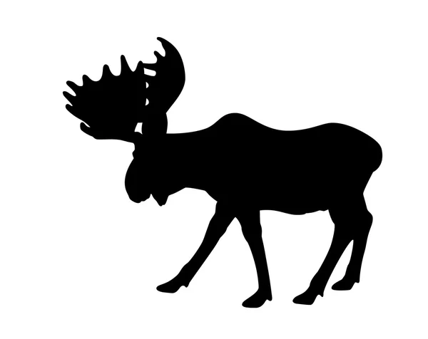 Silhouette adult moose — Stock Vector