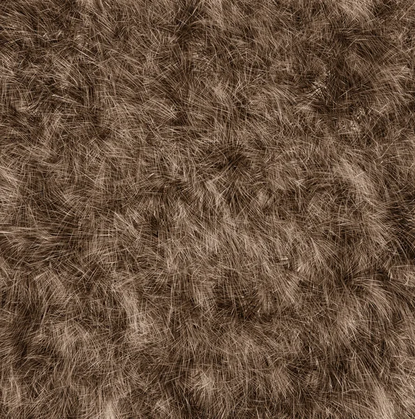 The texture of fur bear — Stock Photo, Image