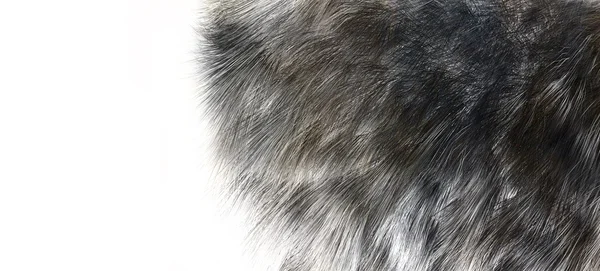 The texture of fur wolf — Stock Photo, Image