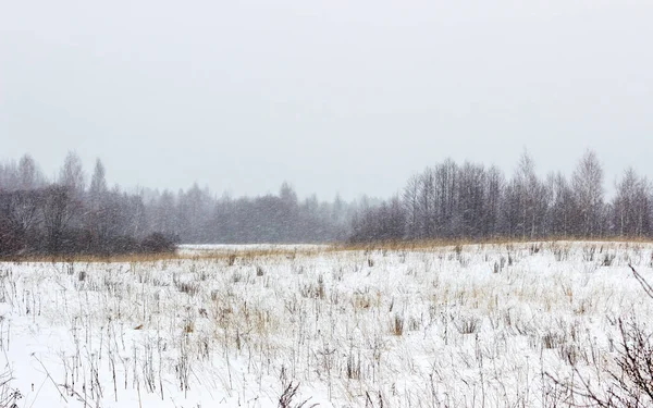 Заснеженное поле в сильном снегопаде — стоковое фото