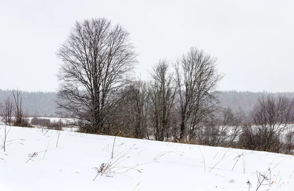 Şiddetli karla kaplı tarla — Stok fotoğraf
