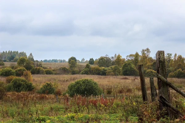 Campo en un día nublado —  Fotos de Stock