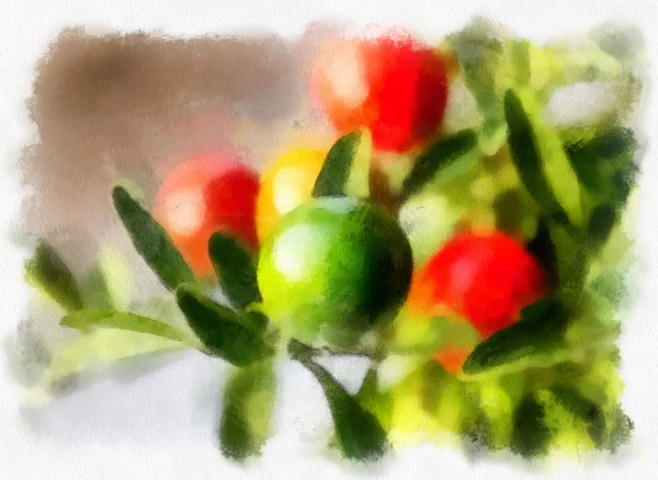 Nightshade berries, solanum pseudocapsicum — Stock Photo, Image