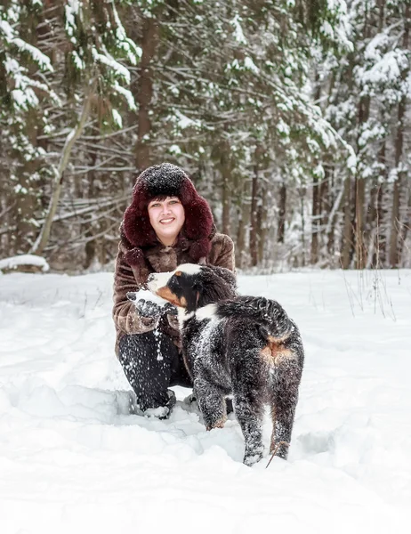 Девушка с горной собакой — стоковое фото