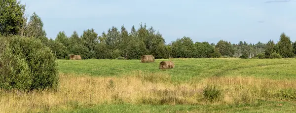 Campo con rollos de heno —  Fotos de Stock
