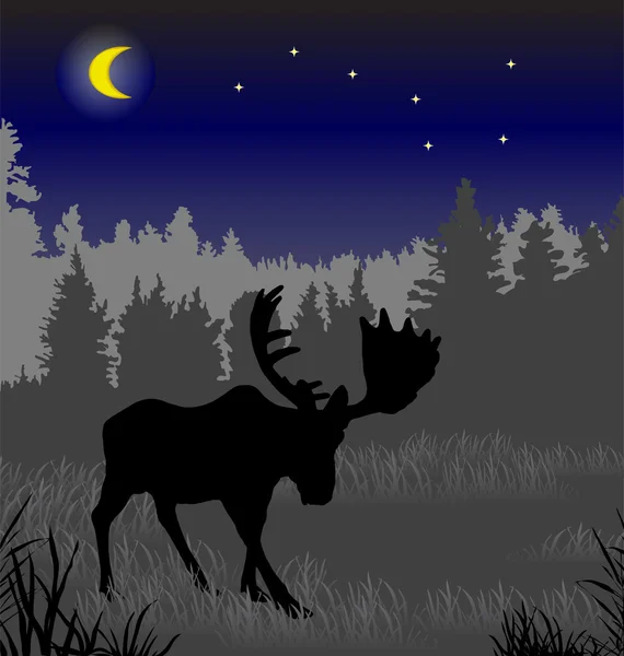 Elk in the night forest — Stock Vector