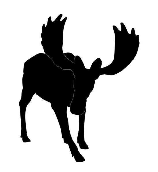 Silhouette adult moose — Stock Vector
