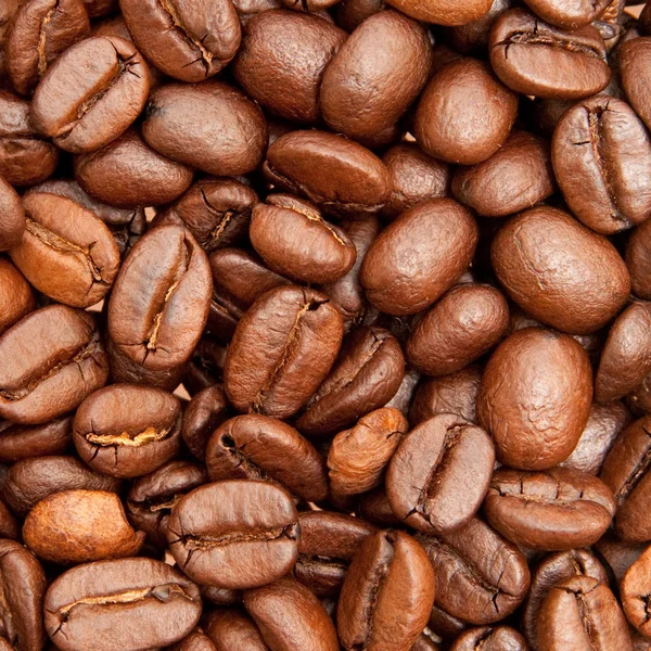 Coffee — Stock Photo, Image