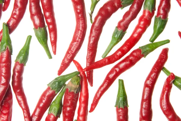 Rote Paprika — Stockfoto