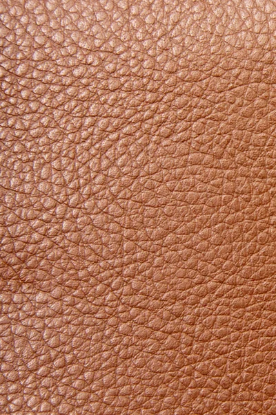 Leather — Stock Photo, Image