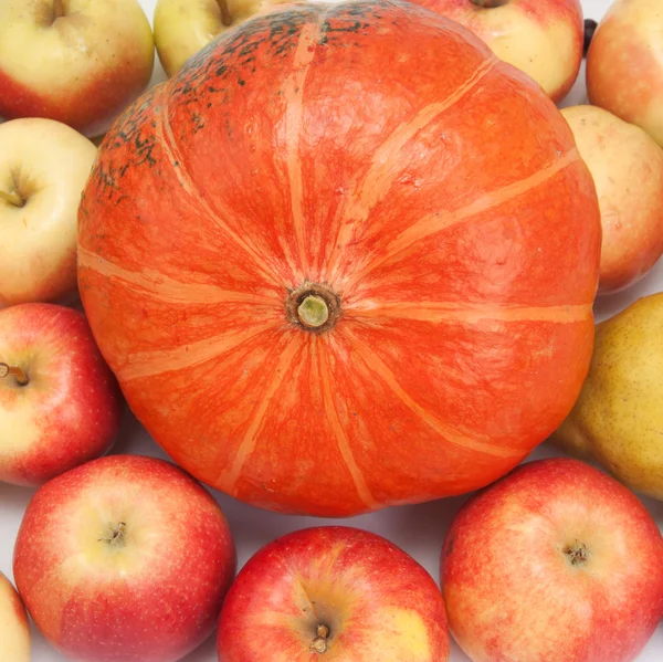 Pumpkin — Stock Photo, Image