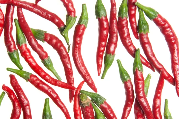 Rote Paprika — Stockfoto