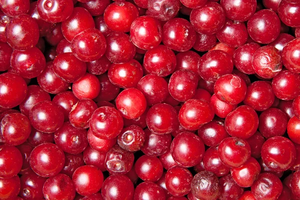 Cherry — Stock Photo, Image