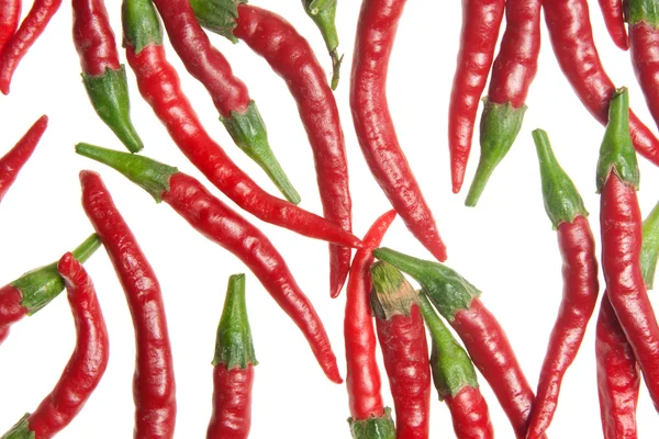 Rote Paprika — Stockfoto