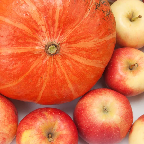 Pumpkin — Stock Photo, Image