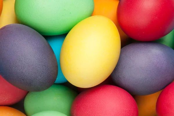 Color eggs — Stock Photo, Image