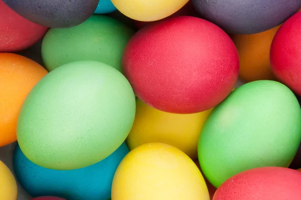 Color eggs — Stock Photo, Image