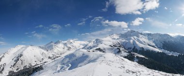 Kış panoramik manzarası