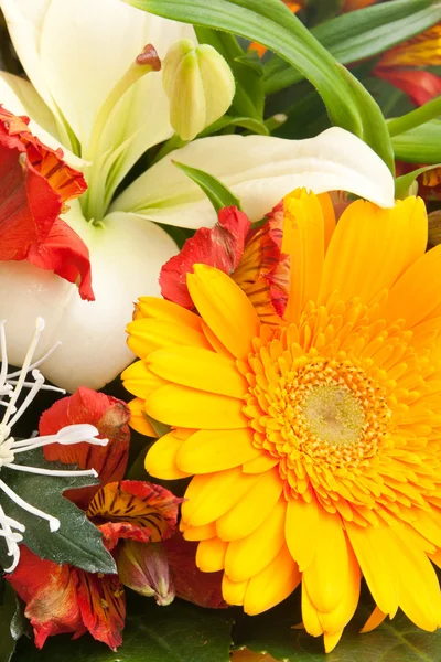 Bouquet — Stock Photo, Image