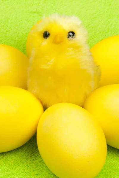 Gelbes Huhn — Stockfoto