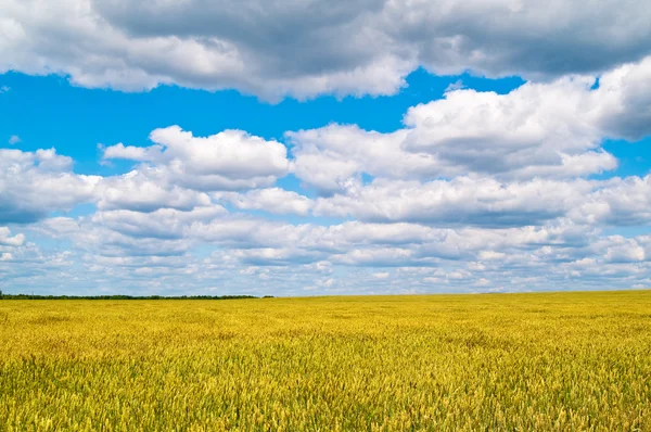 Paisagem — Fotografia de Stock