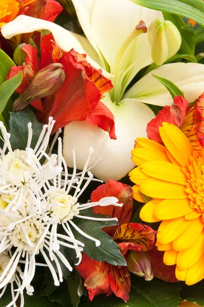 Bouquet — Stock Photo, Image