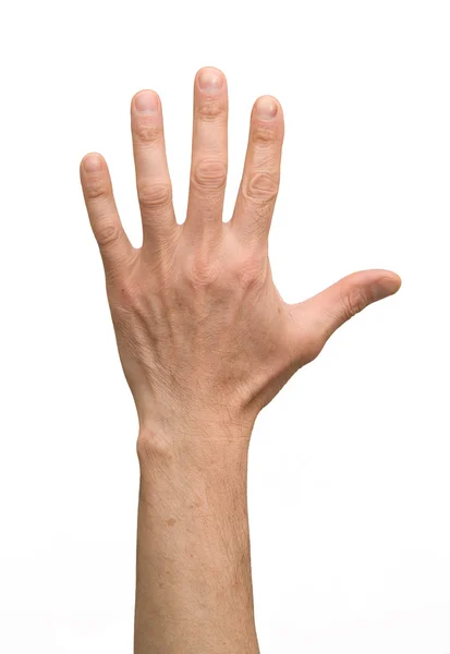 Рука, рука — стоковое фото