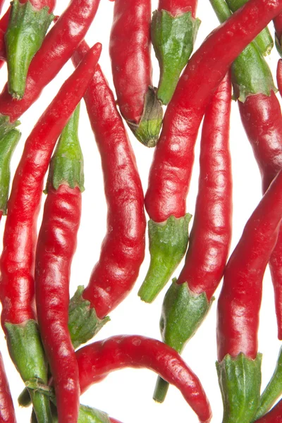 Rote Paprika — Stockfoto