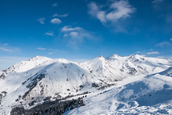 Paesaggio invernale — Foto Stock