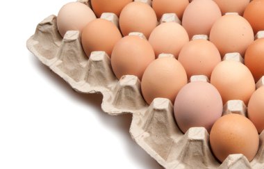 Birçok kahverengi yumurta beyaz üzerine izole edilmiş.